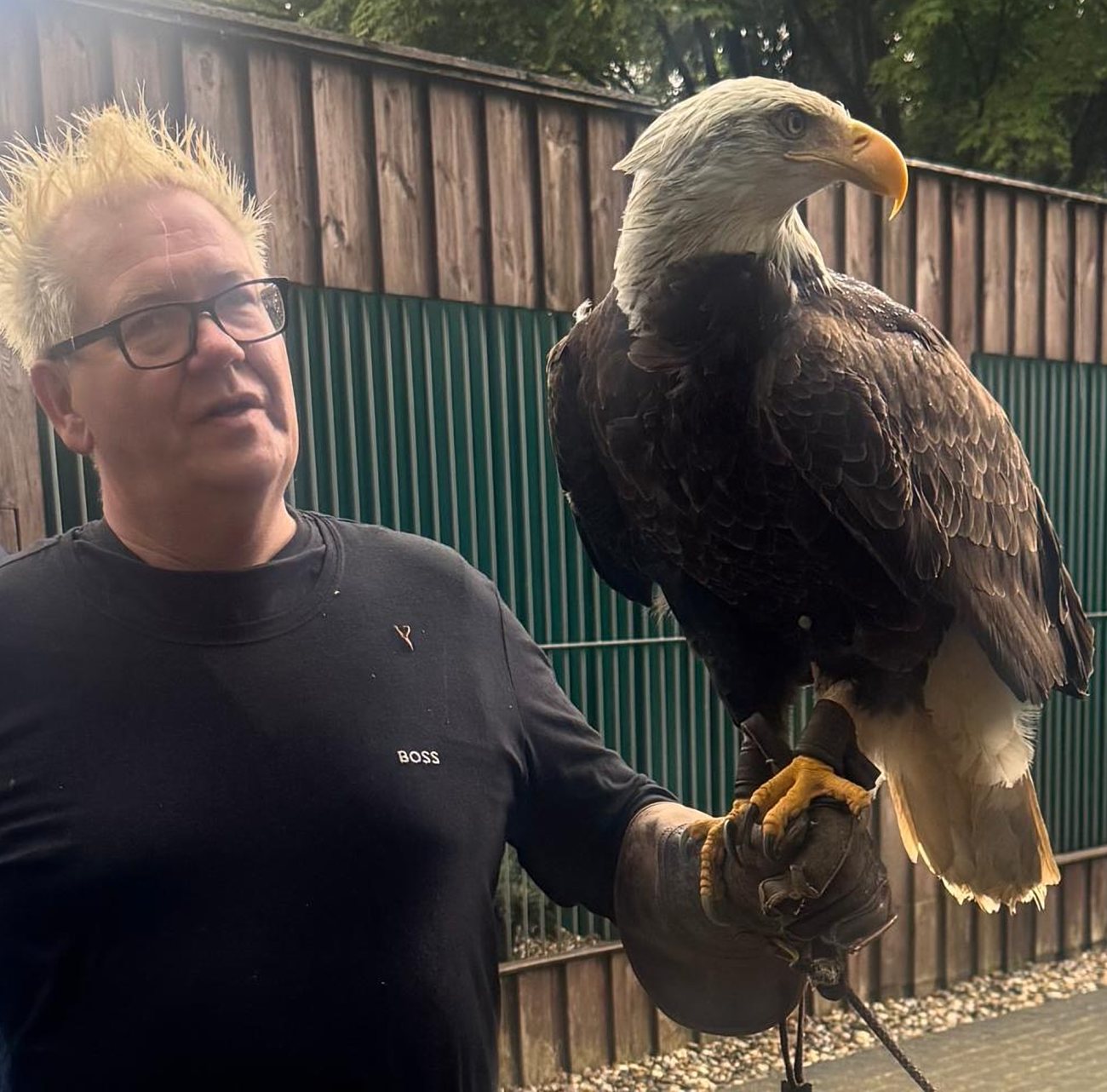 Thorsten Büscher mit einem Weißkopfseeadler auf dem Handschuh
